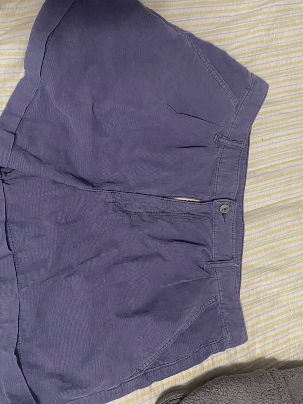 American Eagle Outfitters Periwinkle Courdoroy Shorts